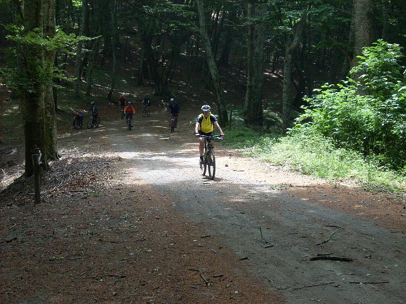 pedalata3 10.jpg